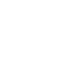 Original Logo Tee White